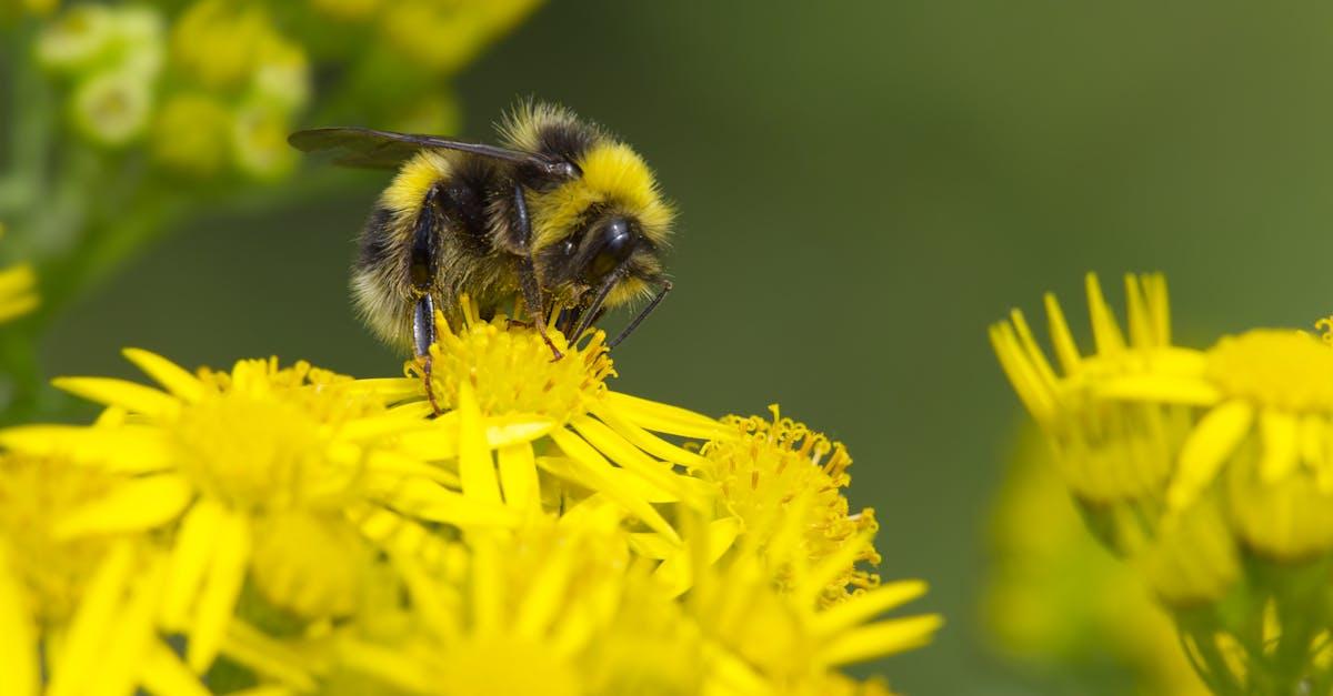 découvrez bumble, l'application de rencontre innovante qui place les femmes au commande. créez des connexions authentiques et explorez de nouvelles relations amoureuses ou amicales en toute sécurité. inscrivez-vous dès aujourd'hui et transformez votre façon de rencontrer des gens !