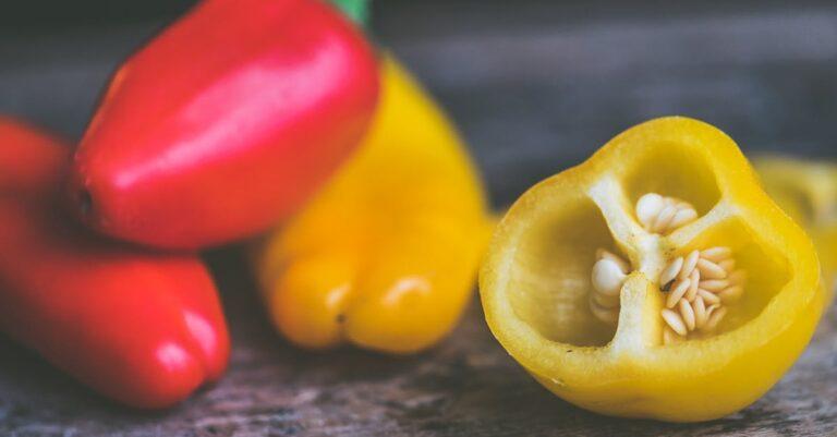 découvrez tout sur les poivrons : leurs variétés, bienfaits nutritionnels, astuces de cuisine et conseils de culture. apprenez à intégrer ce légume coloré et savoureux dans vos plats pour une alimentation saine et délicieuse.