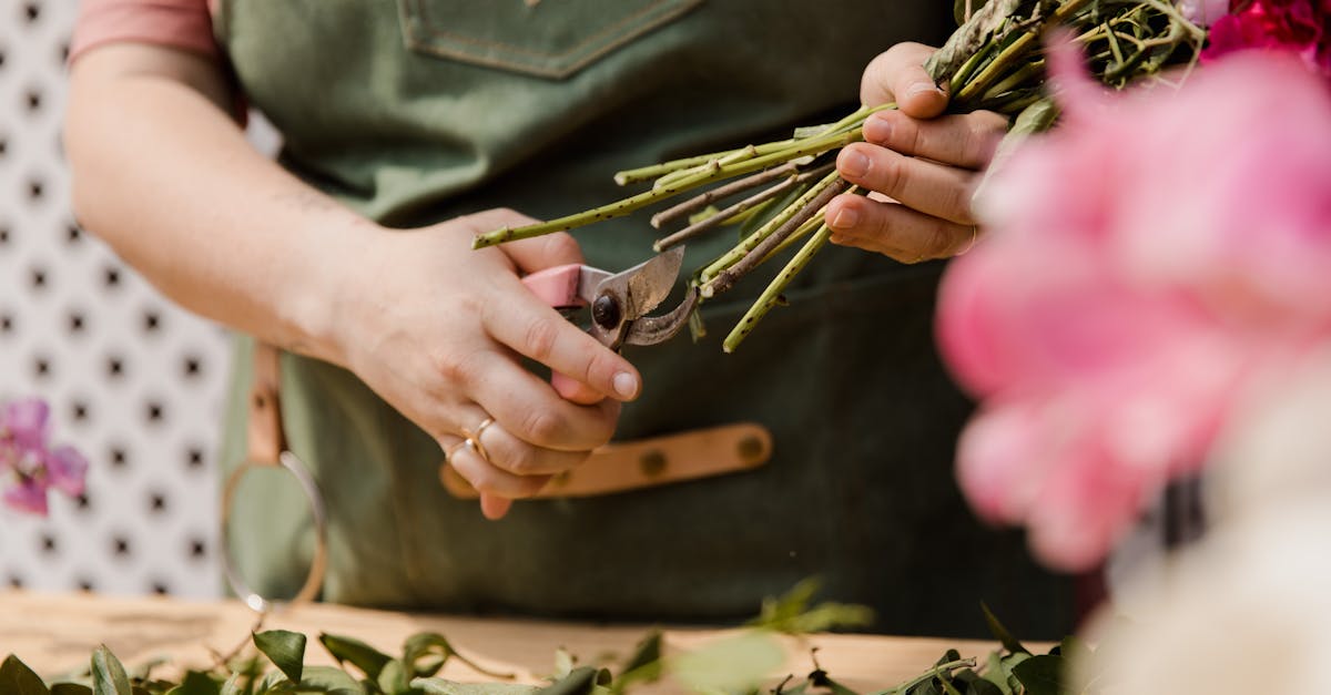 découvrez l'art de la taille des plantes avec nos conseils pratiques. apprenez les techniques essentielles pour entretenir vos arbres et arbustes, favoriser leur croissance et améliorer leur santé. transformez votre jardin grâce à des astuces de jardinage efficaces!