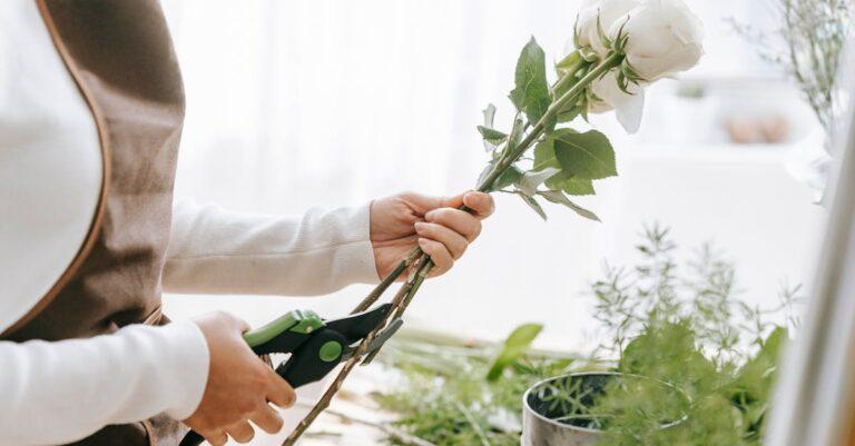 découvrez les meilleures techniques d'élagage pour entretenir vos plantes et arbres. apprenez à optimiser la croissance, améliorer la santé et redonner vie à votre jardin grâce à nos conseils d'experts en jardinage.