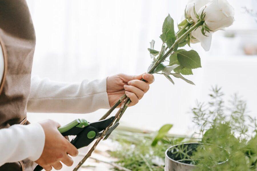 découvrez les meilleures techniques d'élagage pour entretenir vos plantes et arbres. apprenez à optimiser la croissance, améliorer la santé et redonner vie à votre jardin grâce à nos conseils d'experts en jardinage.