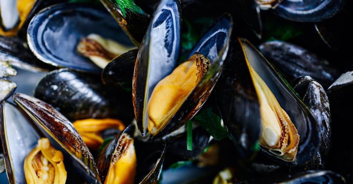 découvrez notre délicieux gratin de fruits de mer, un plat savoureux alliant crevettes, moules et poisson, le tout sublimé par une sauce crémeuse et une croûte dorée. parfait pour une occasion spéciale ou un repas en famille.