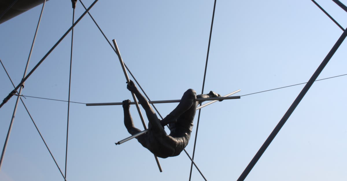 découvrez le monde fascinant du trapèze : un art acrobatique alliant courage, agilité et créativité. explorez les différentes techniques, les spectacles époustouflants et les artistes inspirants qui font de cet art une expérience inoubliable.