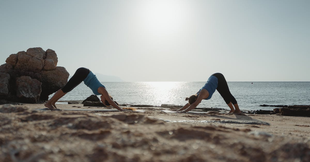 découvrez des exercices efficaces pour renforcer et sculpter vos trapèzes. améliorez votre posture, augmentez votre force et tonifiez votre dos avec notre sélection d'exercices adaptés à tous les niveaux.