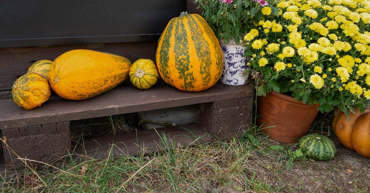 découvrez de délicieuses recettes à base de courge butternut, parfaites pour réchauffer vos soirées d'hiver. explorez des plats variés allant des soupes crémeuses aux gratins savoureux, et apprenez à utiliser cette courge polyvalente dans votre cuisine.