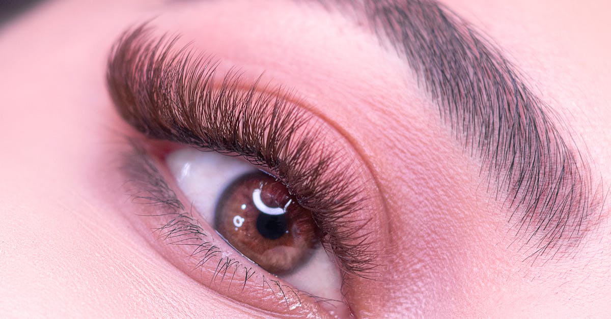 découvrez les astuces et techniques essentielles pour une élégance parfaite des sourcils. apprenez à sculpter, définir et entretenir vos sourcils pour un regard captivant et naturel. transformez votre routine de beauté avec nos conseils d'experts en épilation et soin des sourcils.