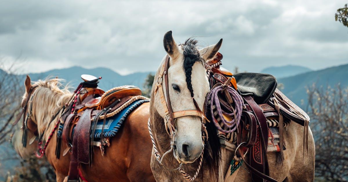 plongez dans l'univers captivant du western, un genre emblématique du cinéma et de la littérature, où l'aventure, le courage et la vie des cow-boys se mêlent. découvrez des récits épiques de duels, de conquêtes et de paysages grandioses du far west.