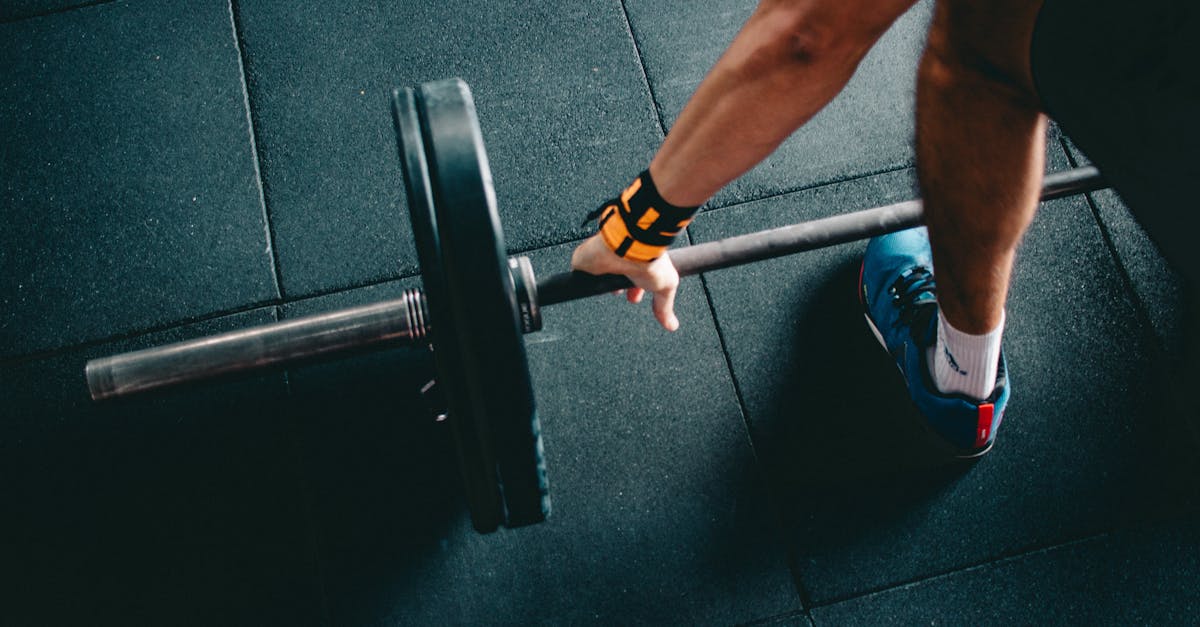 découvrez l'univers du bodybuilding : entraînements, conseils nutritionnels, astuces pour progresser et atteindre vos objectifs de musculation. rejoignez la communauté des passionnés et transformez votre corps dès aujourd'hui.
