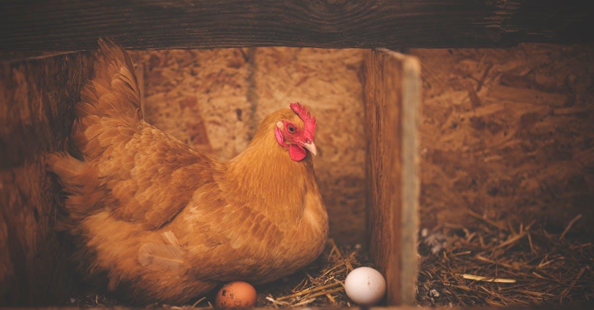 découvrez tout sur les œufs : leurs bienfaits nutritionnels, des recettes délicieuses et des astuces pour les cuisiner. apprenez à intégrer cet ingrédient polyvalent dans votre alimentation pour une cuisine savoureuse et saine.