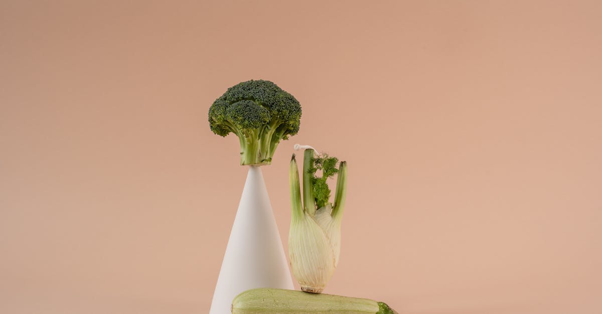 découvrez les bienfaits du fenouil, une plante aromatique aux saveurs uniques. apprenez à l'utiliser en cuisine, ses vertus santé et ses recettes délicieuses pour rehausser vos plats.