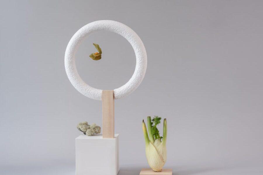découvrez le fenouil, cette plante aromatique aux multiples bienfaits pour la santé et la cuisine. apprenez à l'utiliser dans vos recettes et explorez ses vertus digestives et antioxydantes.