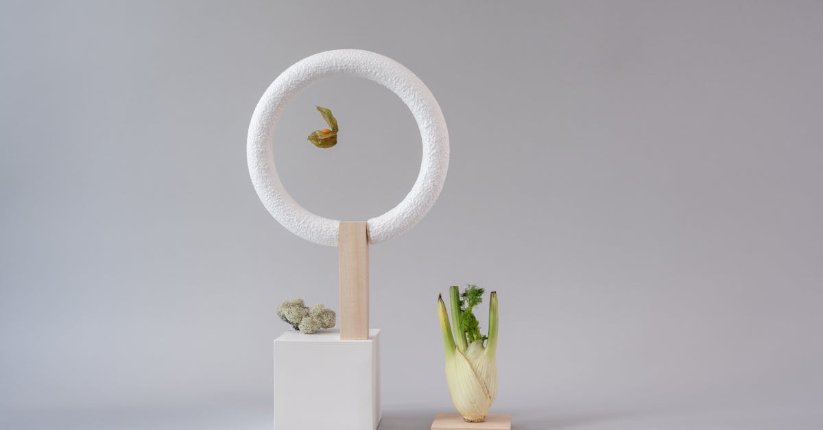 découvrez le fenouil, cette plante aromatique aux multiples bienfaits pour la santé et la cuisine. apprenez à l'utiliser dans vos recettes et explorez ses vertus digestives et antioxydantes.