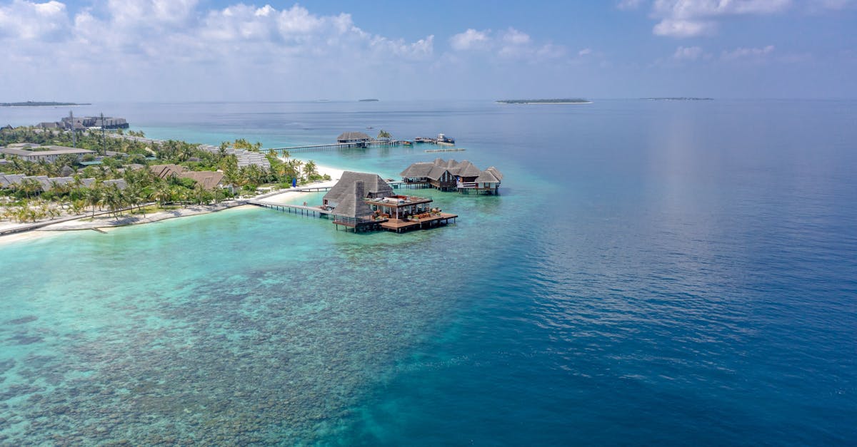 découvrez l'expérience unique du fish spa, où des petits poissons gourmets exfolient votre peau tout en vous offrant un moment de détente inoubliable. idéal pour relaxer et revitaliser vos pieds, le fish spa combine bien-être et innovation dans un cadre apaisant.