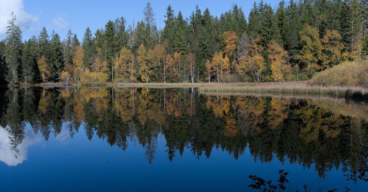 découvrez le jura, un département français riche en paysages naturels, activités de plein air et patrimoine culturel. explorez ses montagnes, ses lacs et ses charmants villages, tout en savourant les délices de sa gastronomie locale.