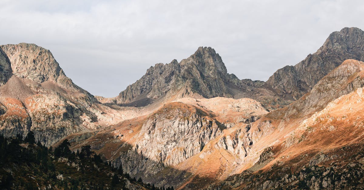 découvrez les pyrénées-orientales, un véritable écrin de nature et de culture situé au cœur des montagnes et des plages méditerranéennes. explorez ses paysages variés, ses villages pittoresques, sa gastronomie savoureuse et ses activités de plein air pour un séjour inoubliable.