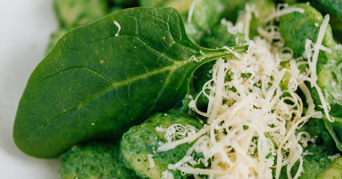découvrez des recettes délicieuses à base d'épinards ! que vous soyez à la recherche d'entrées, de plats principaux ou de recettes végétariennes, nos idées savoureuses vous permettront d'apprécier les bienfaits de ce super aliment. faciles à réaliser et pleines de saveurs, nos recettes d'épinards vous inspireront pour des repas sains et équilibrés.