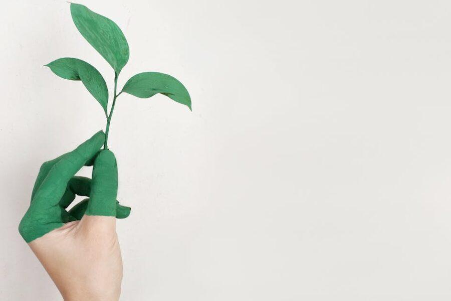 découvrez l'univers de la mode durable : des vêtements éthiques et éco-responsables qui allient style, confort et respect de l'environnement. adoptez un mode de vie chic et conscient tout en réduisant votre empreinte carbone.