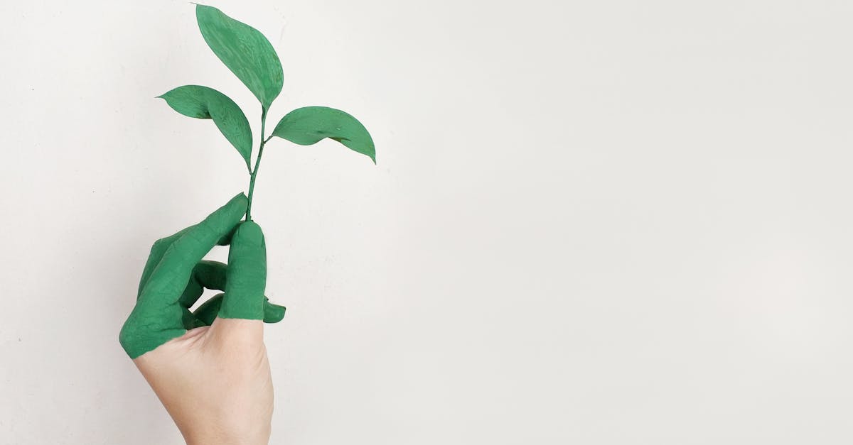 découvrez l'univers de la mode durable : des vêtements éthiques et éco-responsables qui allient style, confort et respect de l'environnement. adoptez un mode de vie chic et conscient tout en réduisant votre empreinte carbone.