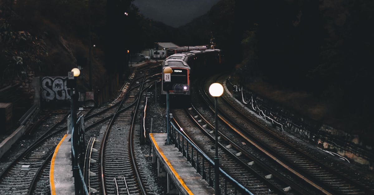 découvrez notre collection de tracks, incluant des morceaux variés pour toutes vos playlists. que vous soyez amateur de musique pop, rock, électro ou hip-hop, trouvez l'inspiration et le rythme parfait pour chaque moment.