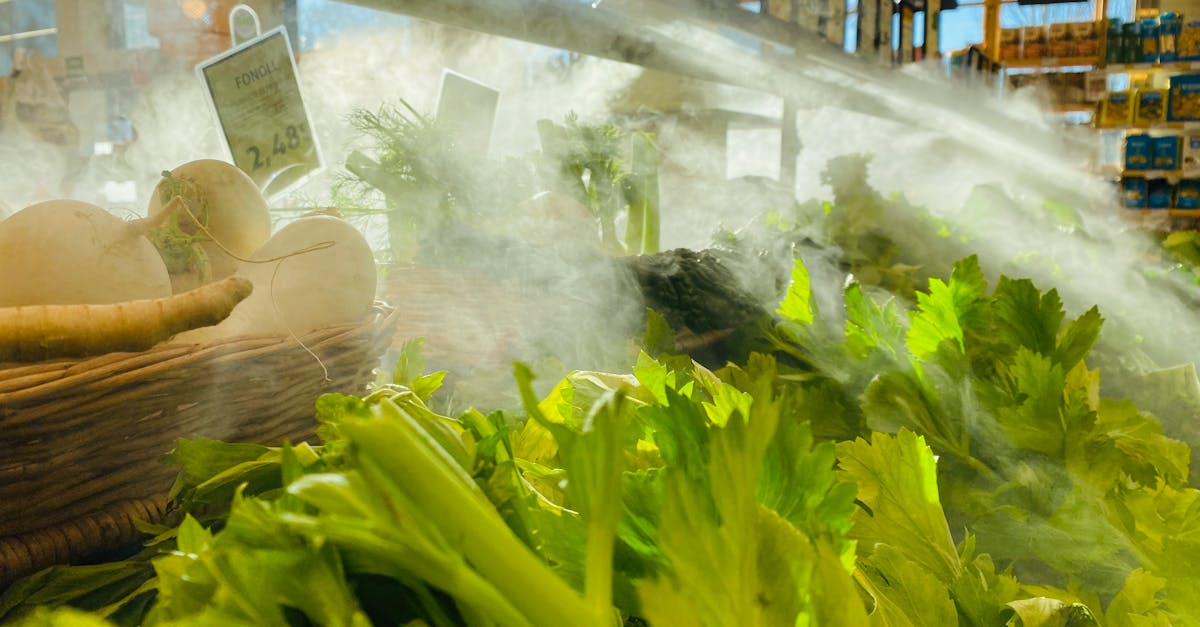 découvrez tout sur les navets : recettes savoureuses, bienfaits nutritionnels, et conseils de culture. apprenez à intégrer ce légume polyvalent dans votre alimentation pour profiter de ses multiples avantages.