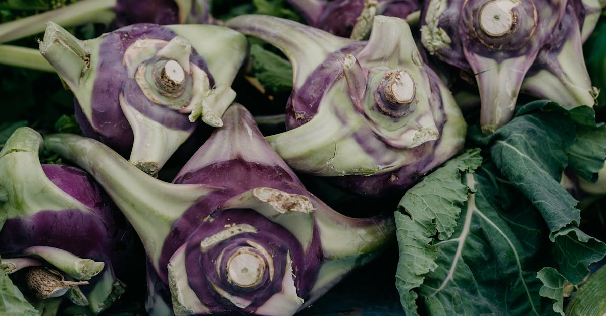 découvrez tout sur les navets : recettes, bienfaits pour la santé et conseils de culture. apprenez à intégrer ce légume polyvalent dans vos plats pour une alimentation savoureuse et nutritive.
