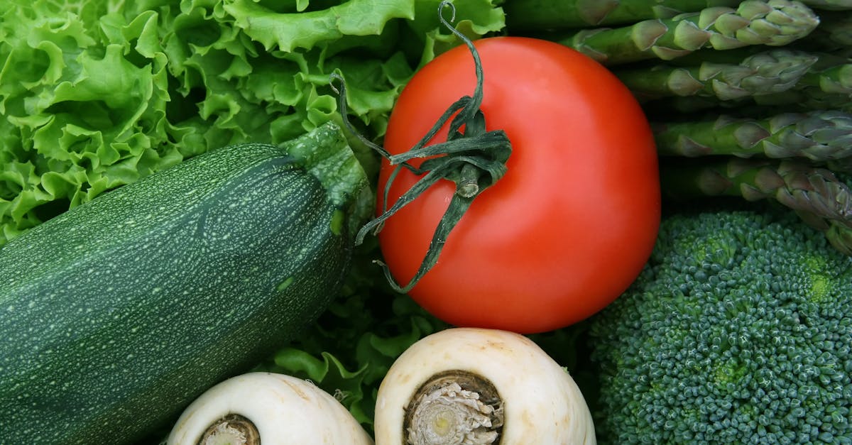 découvrez tout sur les navets : bienfaits nutritionnels, conseils de préparation et recettes savoureuses pour intégrer ce légume racine dans votre alimentation. apprenez à apprécier le goût unique des navets et à les cuisiner de manière créative.