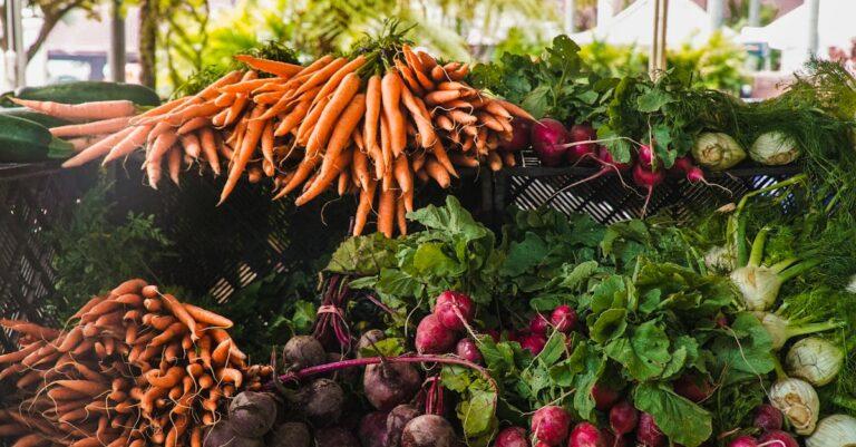 découvrez les bienfaits des légumes pour votre santé et votre bien-être. explorez une variété de recettes savoureuses et apprenez à intégrer facilement des légumes frais et colorés dans votre alimentation quotidienne.
