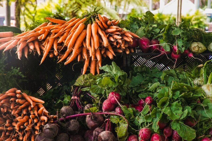 découvrez les bienfaits des légumes pour votre santé et votre bien-être. explorez une variété de recettes savoureuses et apprenez à intégrer facilement des légumes frais et colorés dans votre alimentation quotidienne.