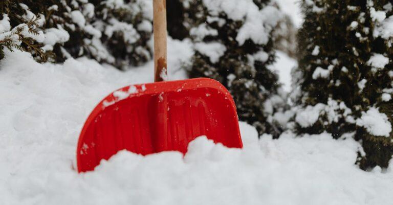 découvrez notre gamme d'équipements d'hiver pour faire face aux conditions les plus rigoureuses. vêtements chauds, accessoires indispensables et matériel de sport pour profiter pleinement des activités outdoor durant la saison froide. préparez-vous pour l'hiver avec nos produits de qualité.