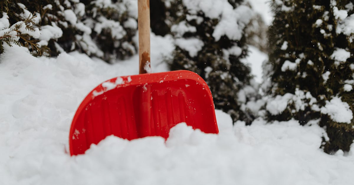 découvrez notre gamme d'équipements d'hiver pour faire face aux conditions les plus rigoureuses. vêtements chauds, accessoires indispensables et matériel de sport pour profiter pleinement des activités outdoor durant la saison froide. préparez-vous pour l'hiver avec nos produits de qualité.